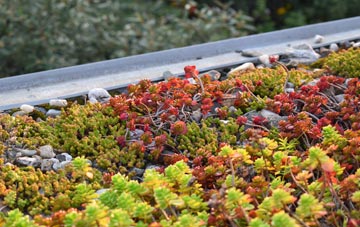 the cost of Heribost green roof installation