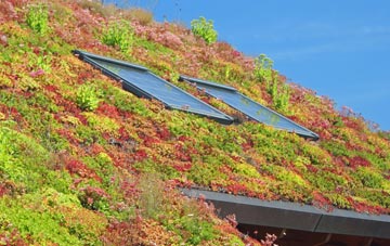 Heribost living roof systems
